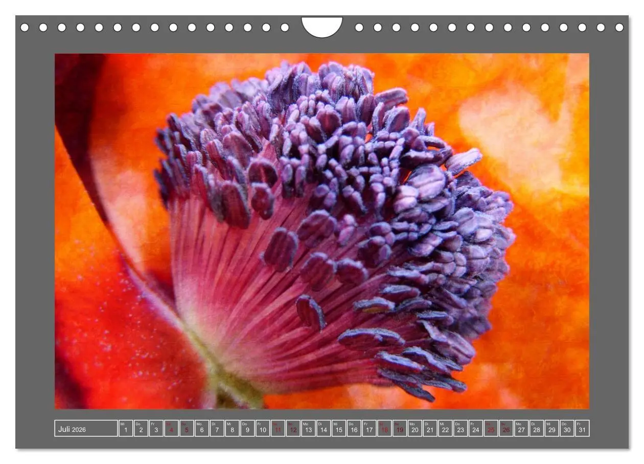Bild: 9783516229929 | Blumen für dich (Wandkalender 2026 DIN A4 quer), CALVENDO...