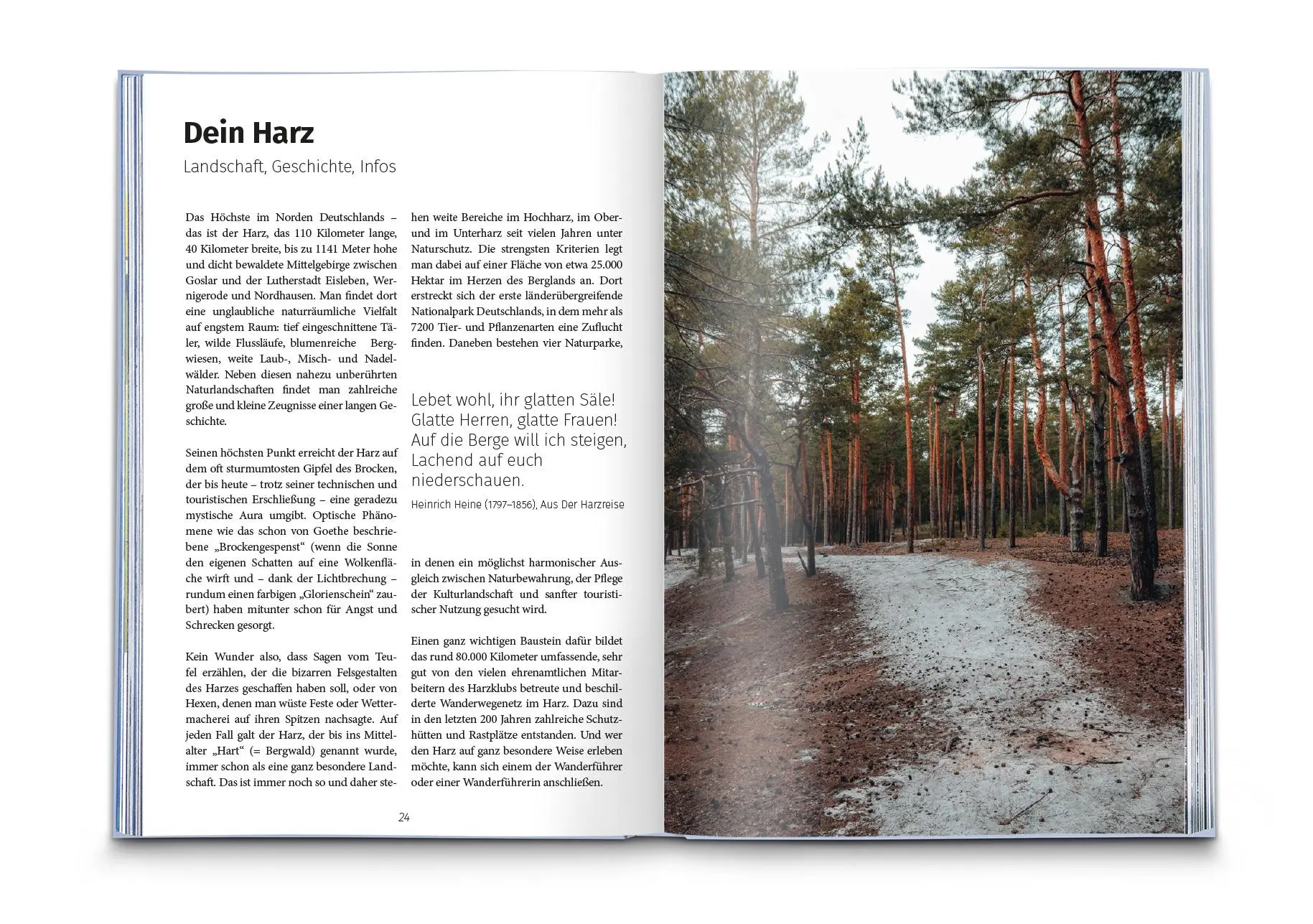 Bild: 9783990449929 | KOMPASS Dein Augenblick Harz | KOMPASS-Karten GmbH | Taschenbuch
