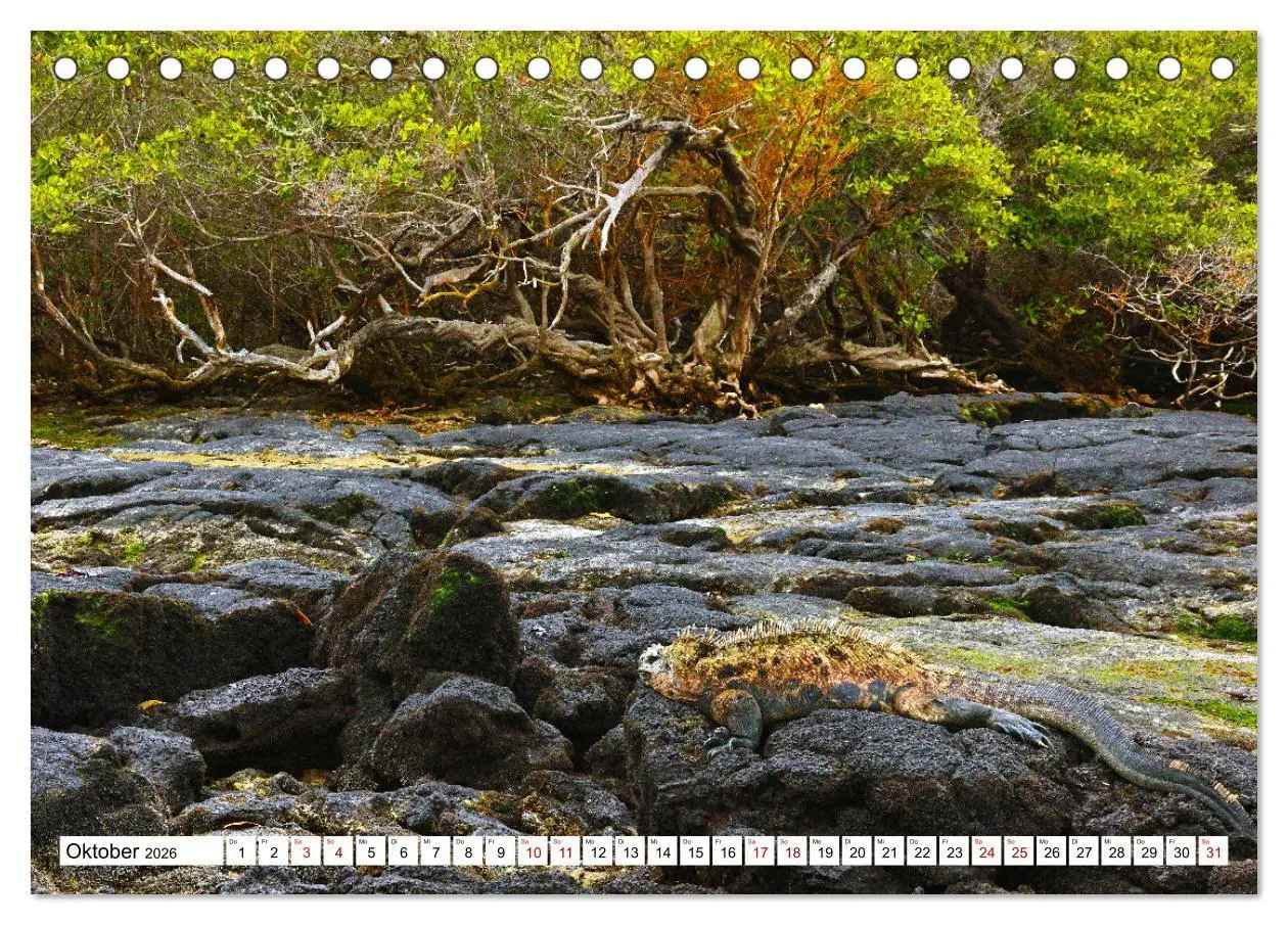 Bild: 9783457530030 | Galápagos - Die verwunschenen Inseln (Tischkalender 2026 DIN A5...