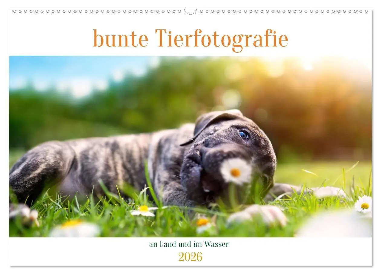 Cover: 9783457380130 | bunte Tierfotografie an Land und im Wasser (Wandkalender 2026 DIN...