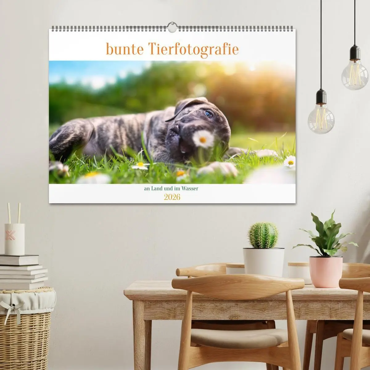 Bild: 9783457380130 | bunte Tierfotografie an Land und im Wasser (Wandkalender 2026 DIN...