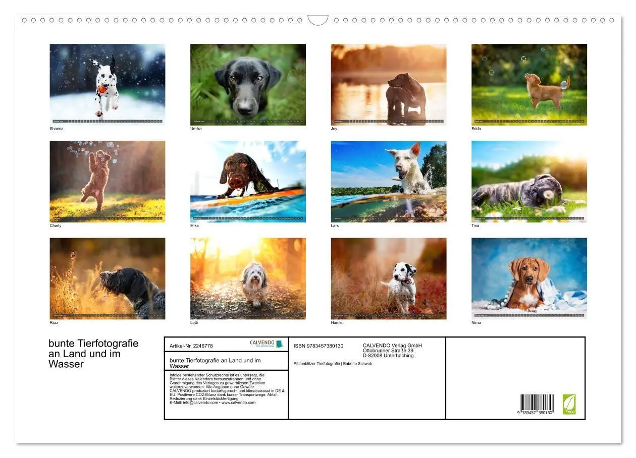 Bild: 9783457380130 | bunte Tierfotografie an Land und im Wasser (Wandkalender 2026 DIN...