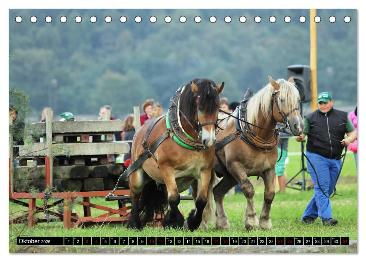 Bild: 9783457750230 | Schwere Pferde 2026 (Tischkalender 2026 DIN A5 quer), CALVENDO...