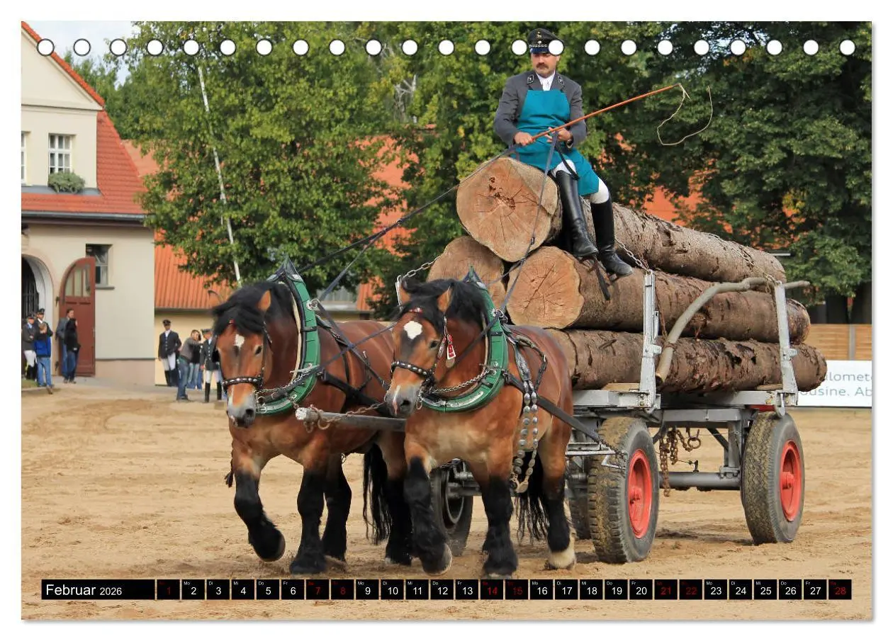 Bild: 9783457750230 | Schwere Pferde 2026 (Tischkalender 2026 DIN A5 quer), CALVENDO...