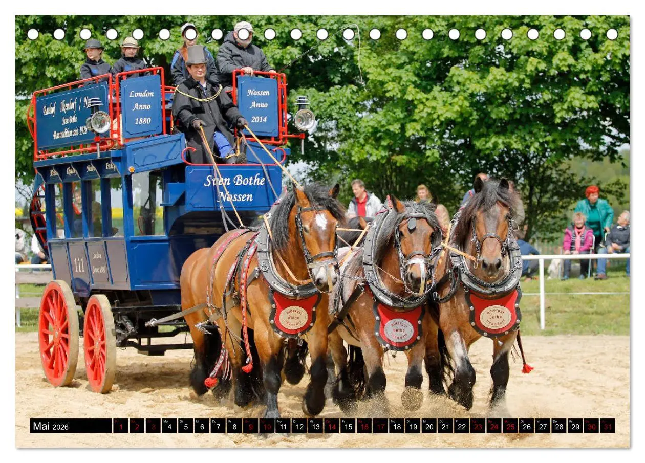 Bild: 9783457750230 | Schwere Pferde 2026 (Tischkalender 2026 DIN A5 quer), CALVENDO...