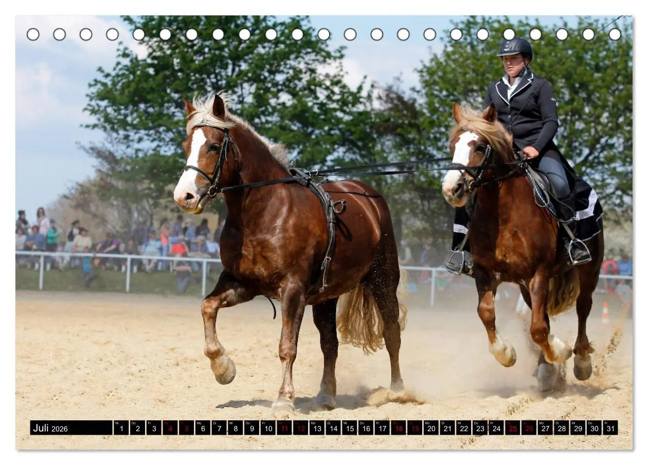 Bild: 9783457750230 | Schwere Pferde 2026 (Tischkalender 2026 DIN A5 quer), CALVENDO...