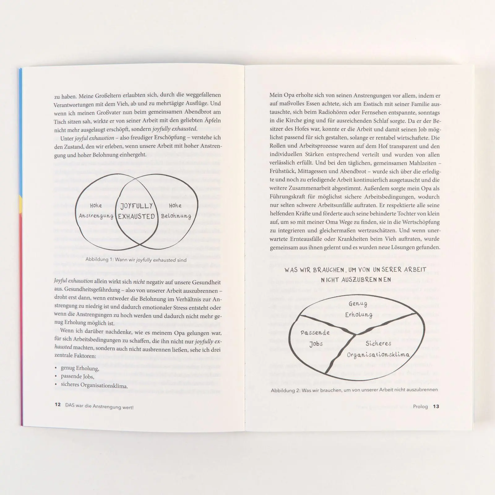 Bild: 9783593520230 | Das war die Anstrengung wert! | Christina Guthier | Taschenbuch | 2025
