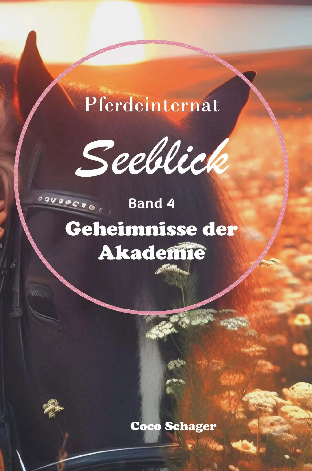 Cover: 9783991810230 | Pferdeinternat Seeblick Band 4 | Geheimnisse der Akademie | Schager