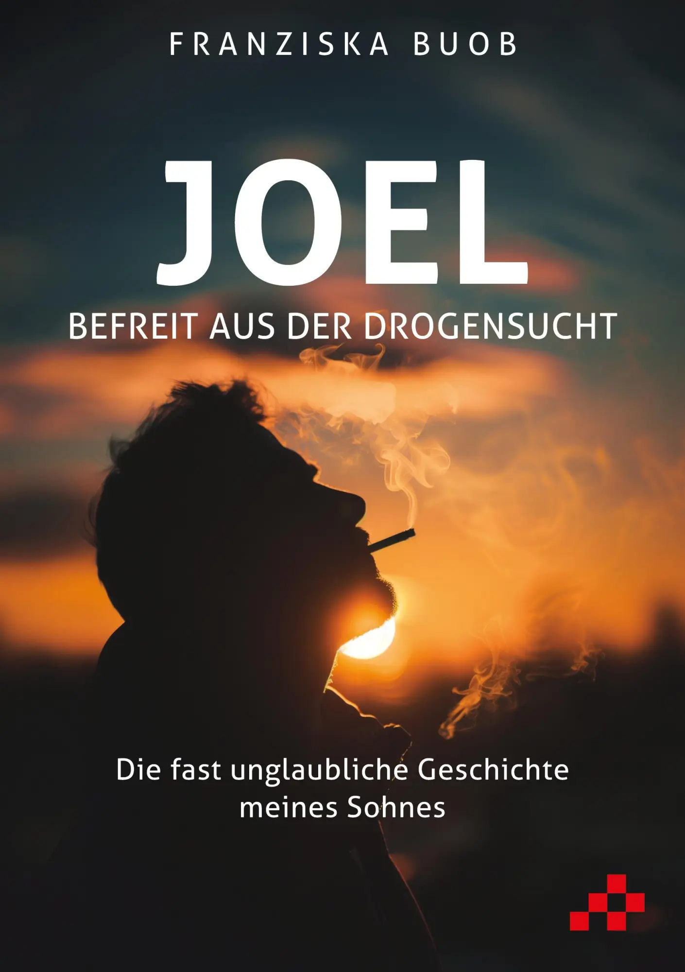 Cover: 9783039650330 | Joel - Befreit aus der Drogensucht | Franziska Buob | Broschüre | Buch
