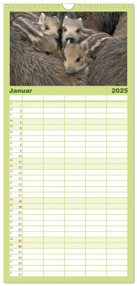 Bild: 9783457120330 | Familienplaner 2025 - Schweinkram - Die Wildschweine sind los mit 5...