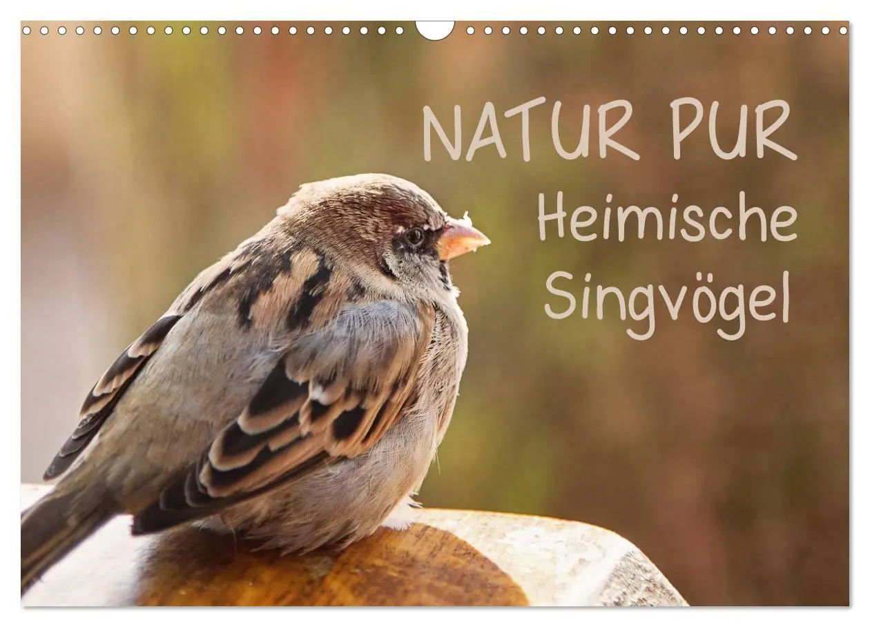 Cover: 9783516070330 | NATUR PUR Heimische Singvögel (Wandkalender 2026 DIN A3 quer),...
