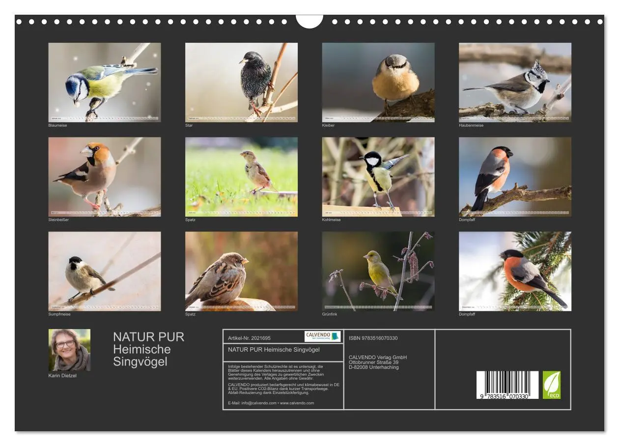 Bild: 9783516070330 | NATUR PUR Heimische Singvögel (Wandkalender 2026 DIN A3 quer),...