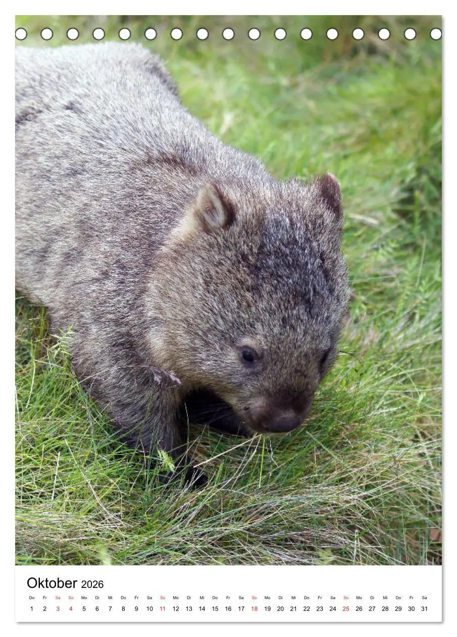 Bild: 9783516380330 | Australien - Hilfe für die einzigartige Tierwelt (Tischkalender...