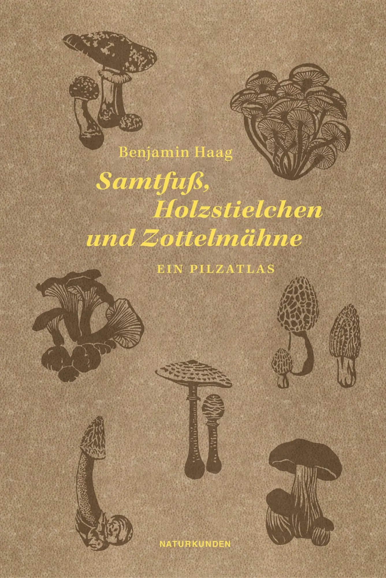 Cover: 9783751840330 | Samtfuß, Holzstielchen und Zottelmähne | Ein Pilzatlas | Benjamin Haag