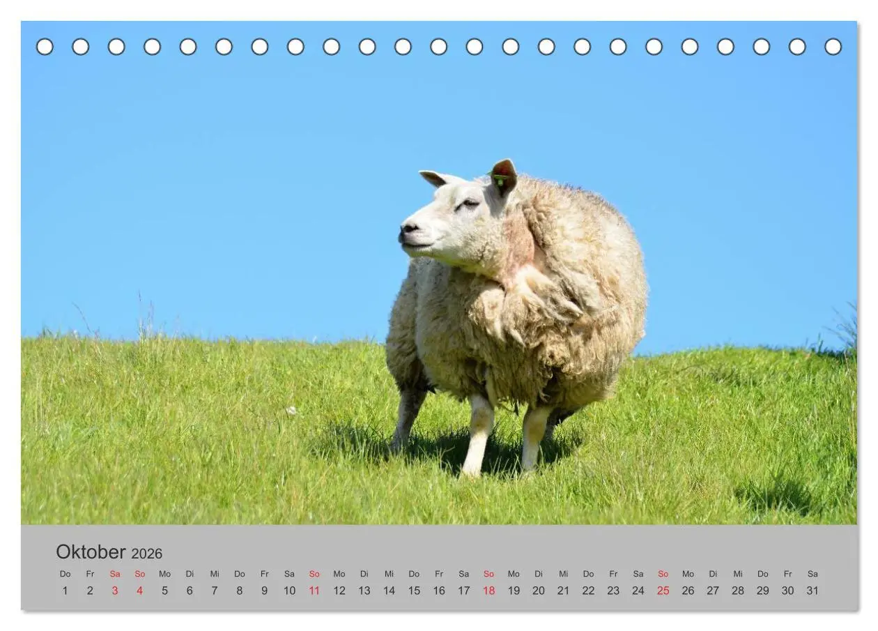 Bild: 9783457970430 | Impressionen von Texel (Tischkalender 2026 DIN A5 quer), CALVENDO...