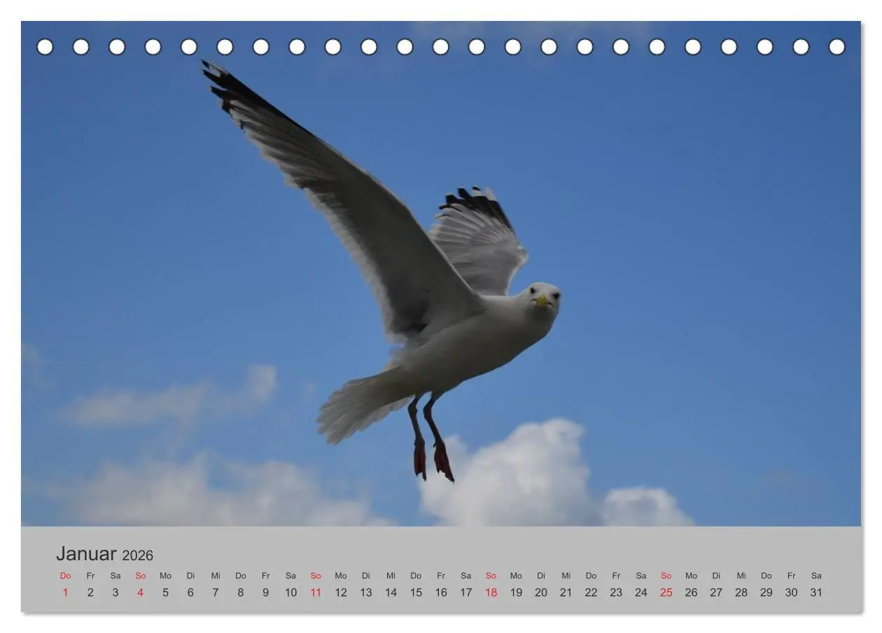 Bild: 9783457970430 | Impressionen von Texel (Tischkalender 2026 DIN A5 quer), CALVENDO...