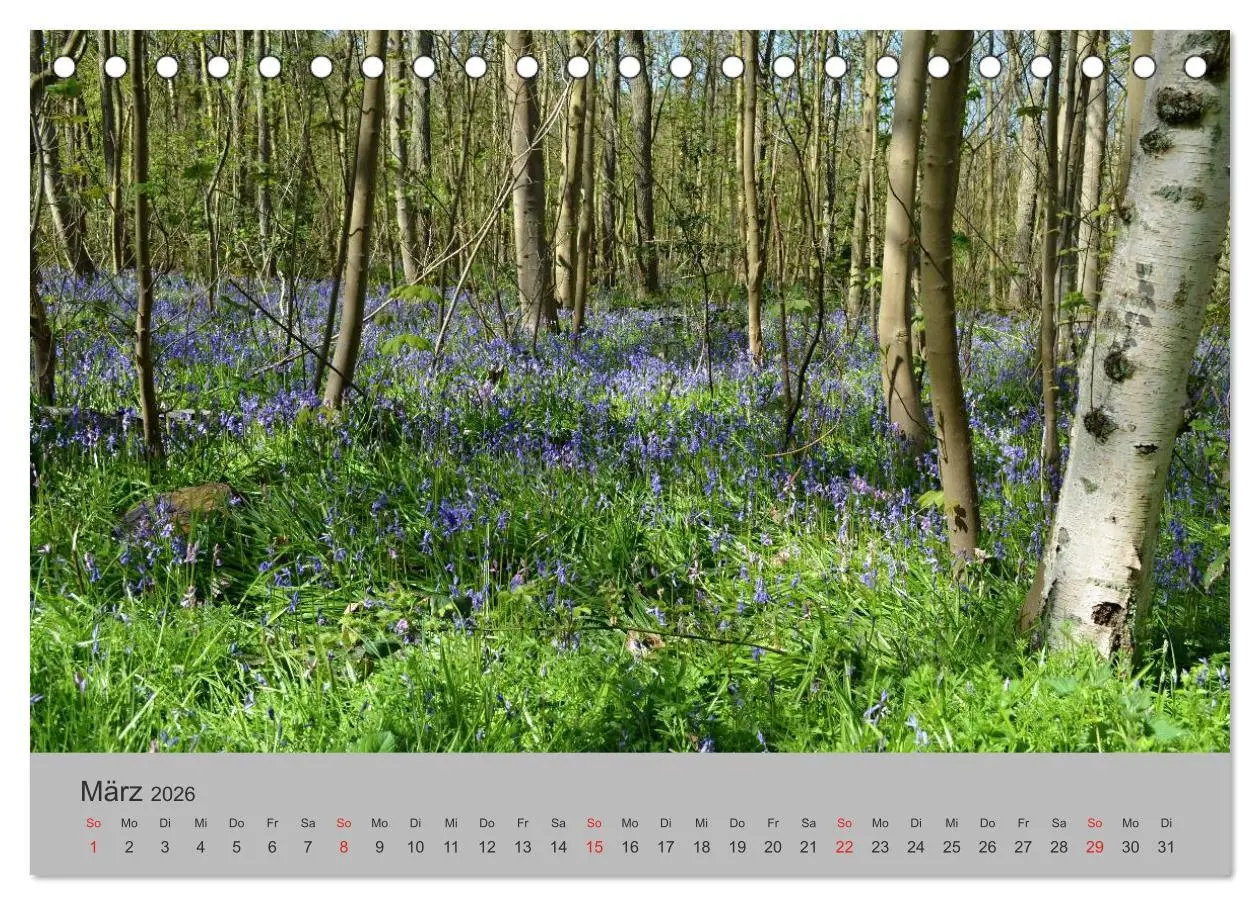 Bild: 9783457970430 | Impressionen von Texel (Tischkalender 2026 DIN A5 quer), CALVENDO...