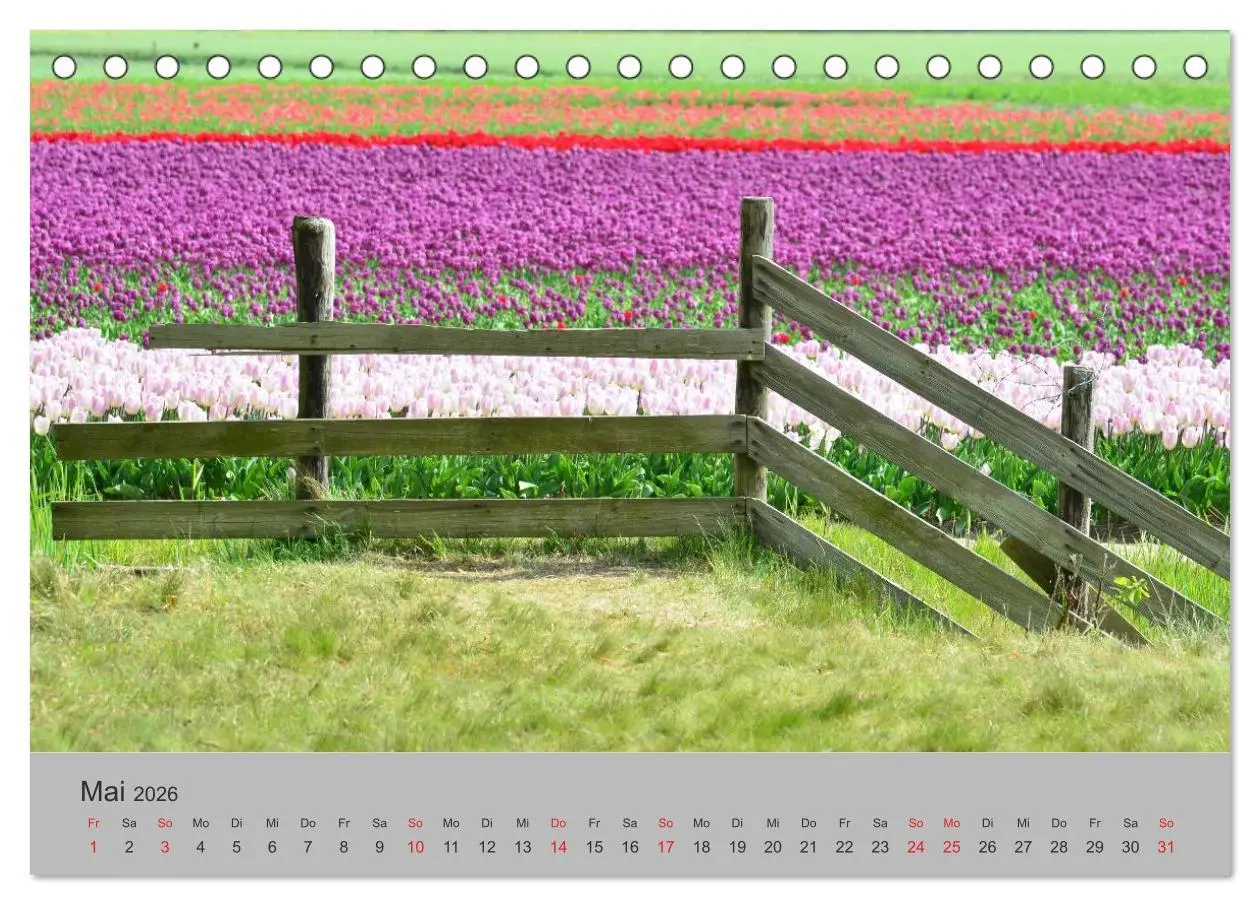 Bild: 9783457970430 | Impressionen von Texel (Tischkalender 2026 DIN A5 quer), CALVENDO...