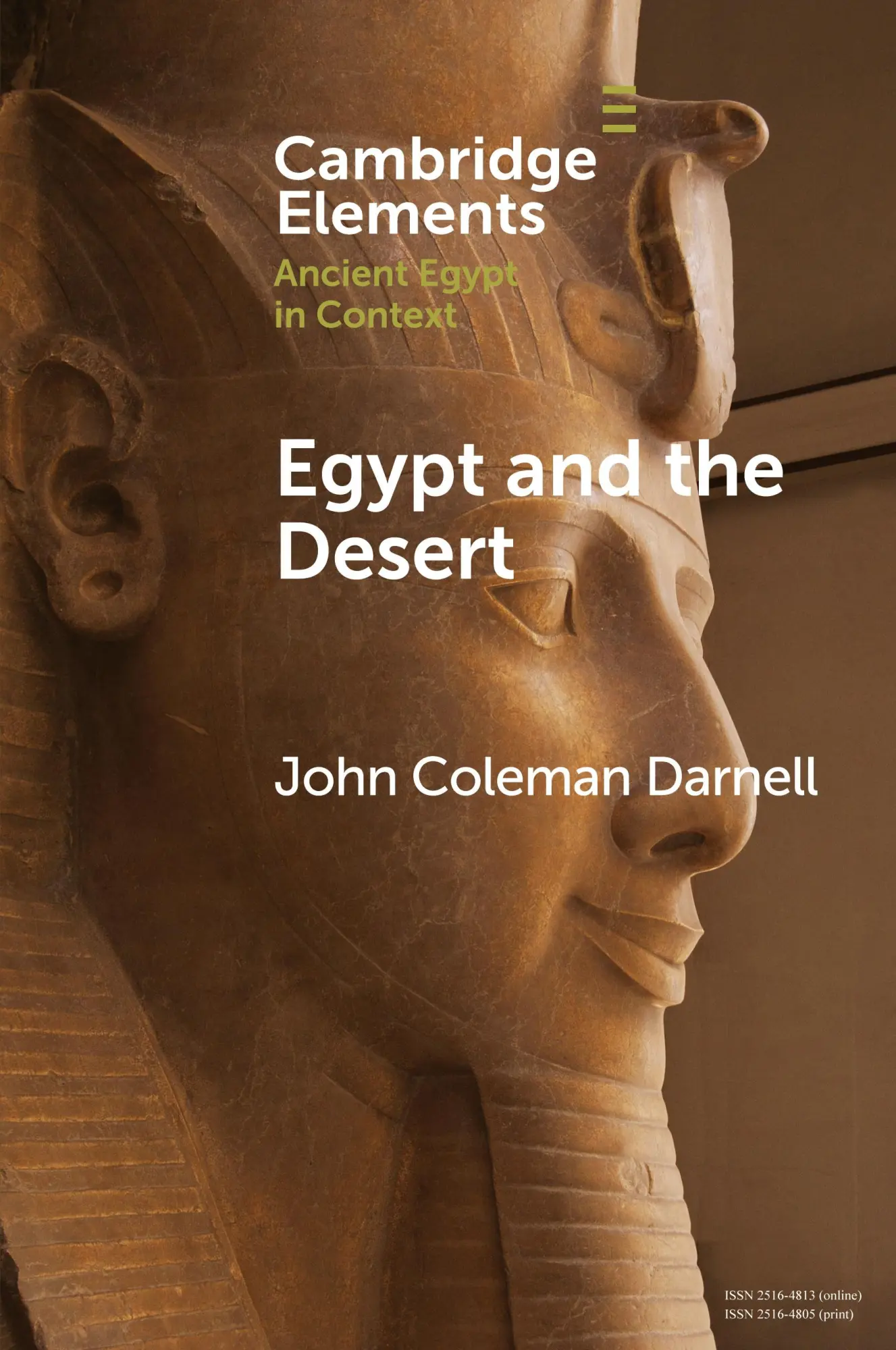 Cover: 9781108820530 | Egypt and the Desert | John Coleman Darnell | Taschenbuch | Englisch