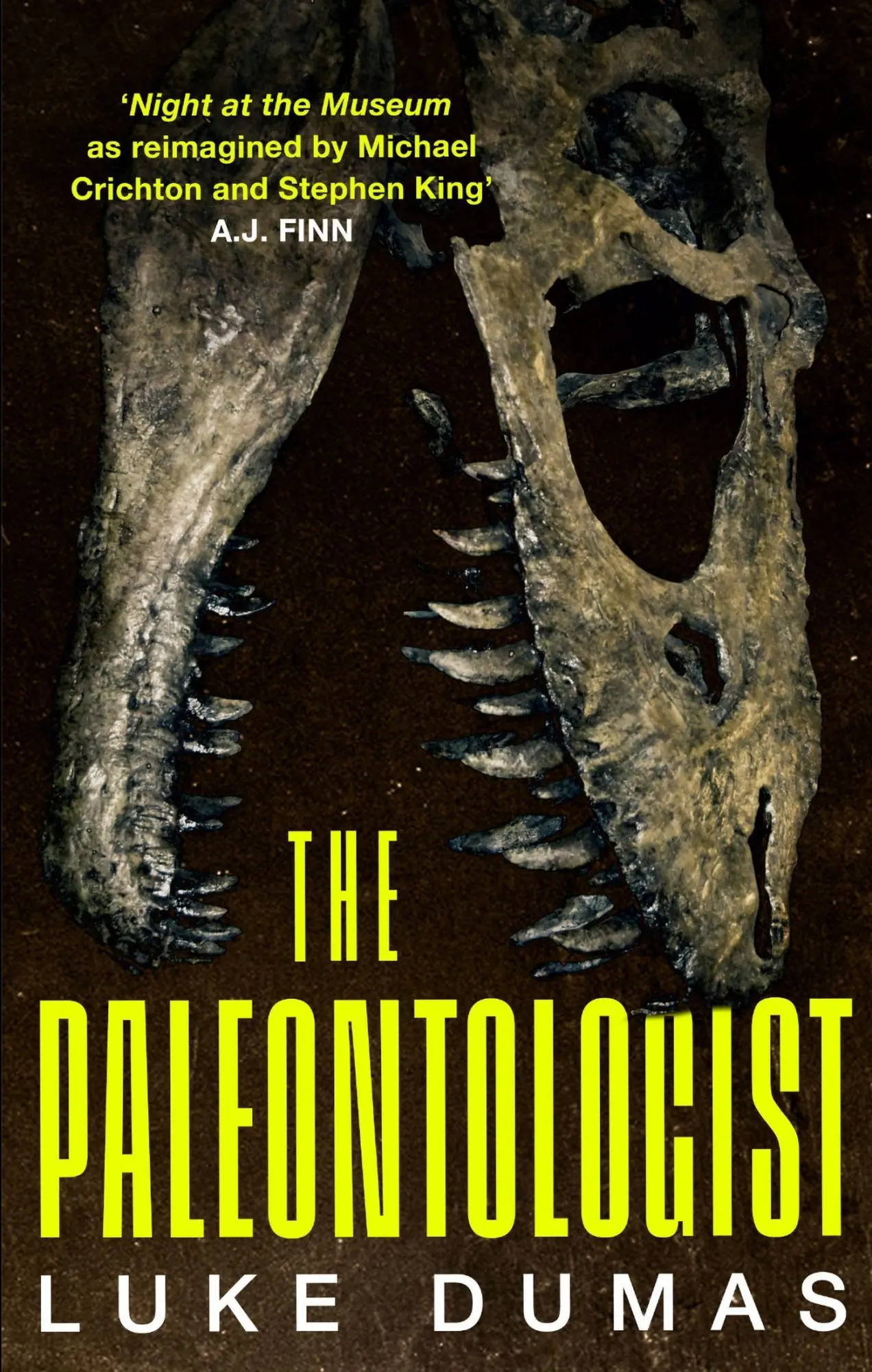 Cover: 9781408720530 | The Paleontologist | Luke Dumas | Taschenbuch | Englisch | 2023