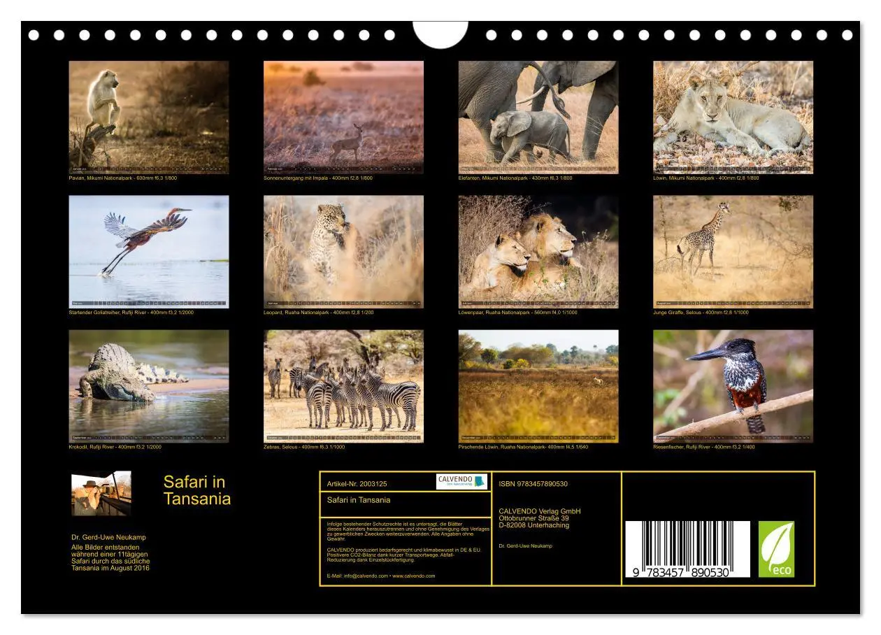 Bild: 9783457890530 | Safari in Tansania (Wandkalender 2026 DIN A4 quer), CALVENDO...