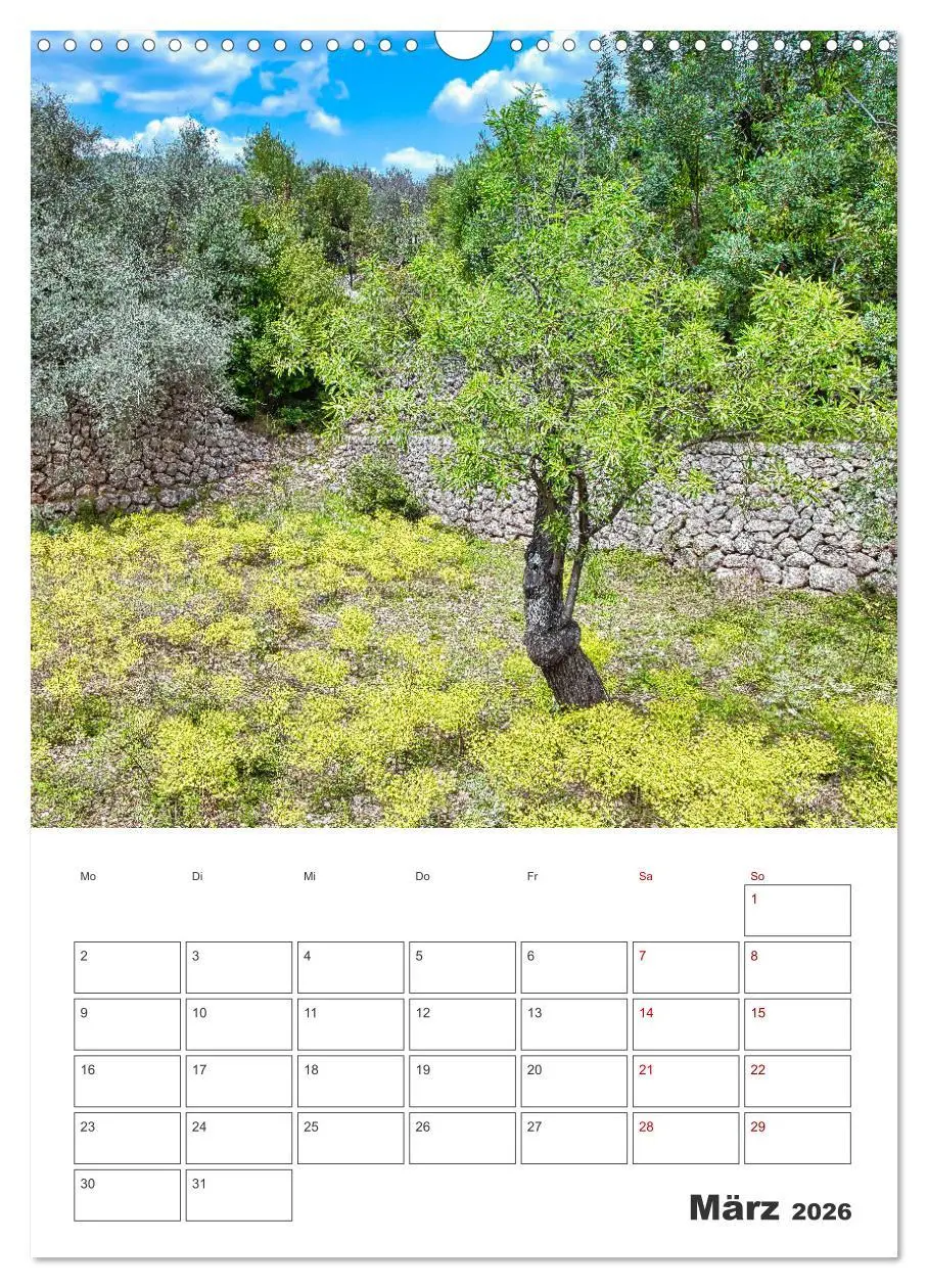 Bild: 9783516290530 | Mallorca - Traumhafte Insel auf der Sonnenseite (Wandkalender 2026...