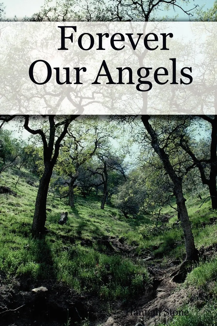 Cover: 9781411670730 | Forever Our Angels | Hannah Stone | Taschenbuch | Englisch | 2006