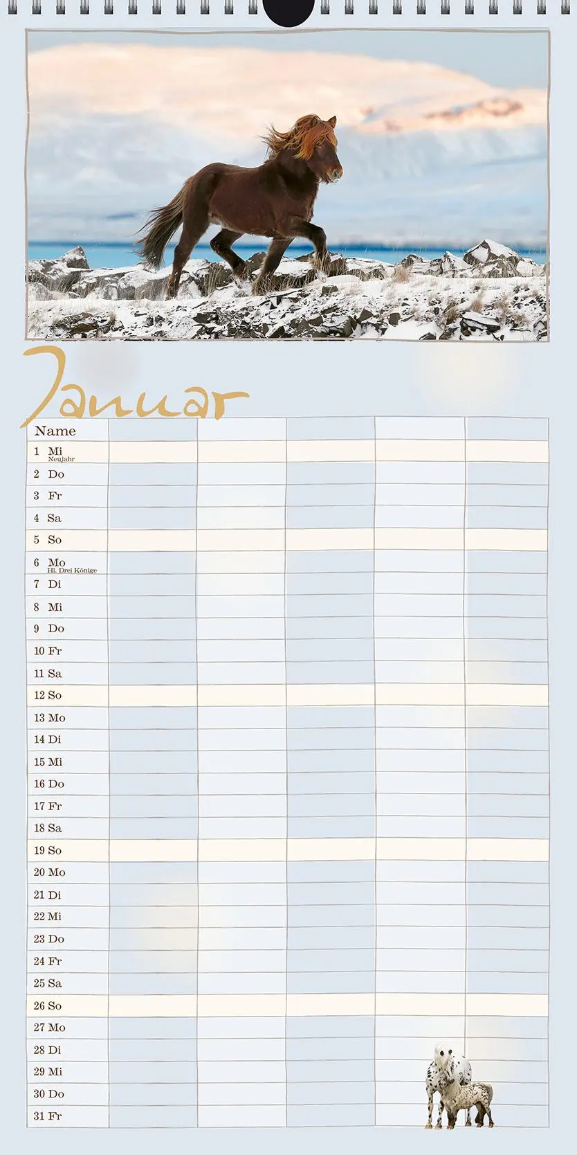 Bild: 9783964120830 | Familienplaner Pferd 2026 | Pferdeglück | Gabriele Boiselle | Kalender