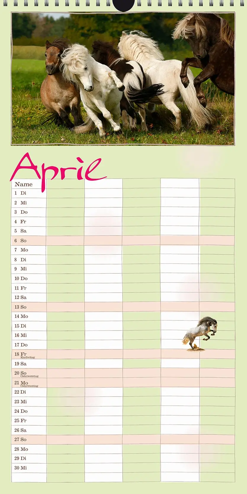 Bild: 9783964120830 | Familienplaner Pferd 2026 | Pferdeglück | Gabriele Boiselle | Kalender