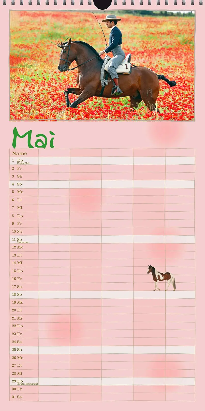 Bild: 9783964120830 | Familienplaner Pferd 2026 | Pferdeglück | Gabriele Boiselle | Kalender