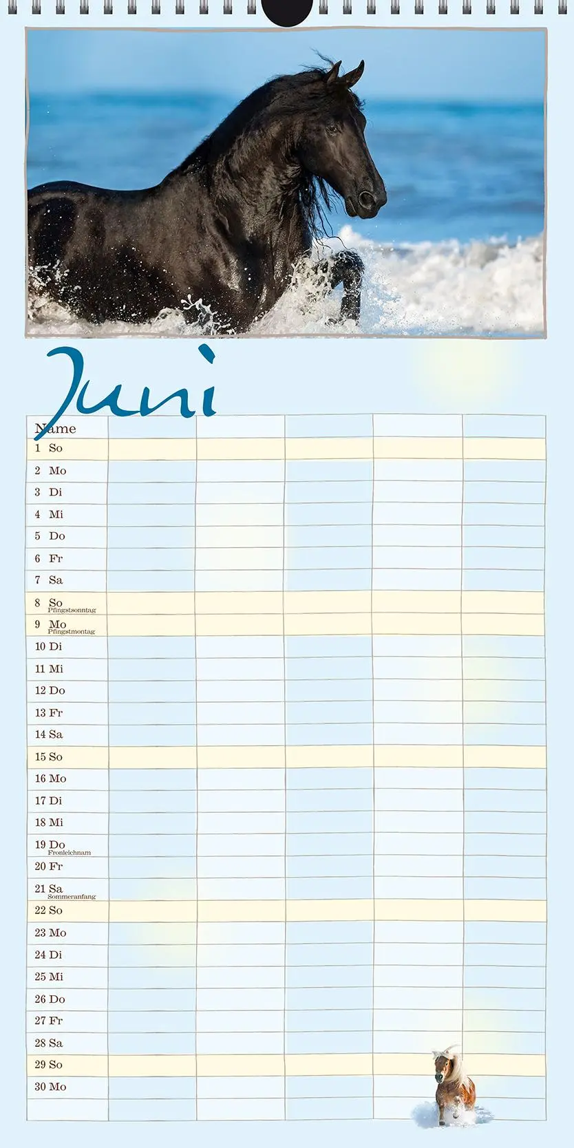 Bild: 9783964120830 | Familienplaner Pferd 2026 | Pferdeglück | Gabriele Boiselle | Kalender
