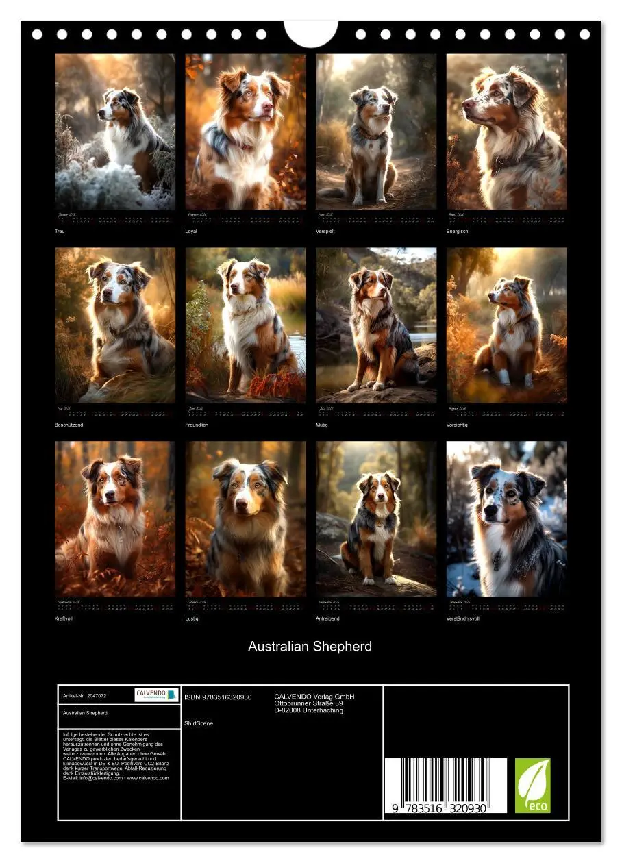 Bild: 9783516320930 | Australian Shepherd (Wandkalender 2026 DIN A4 hoch), CALVENDO...