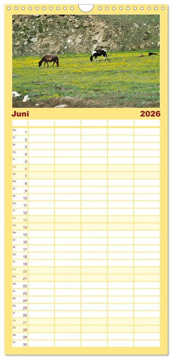 Bild: 9783516490930 | Familienplaner 2026 - Ladakh - Zanskar mit 5 Spalten (Wandkalender,...