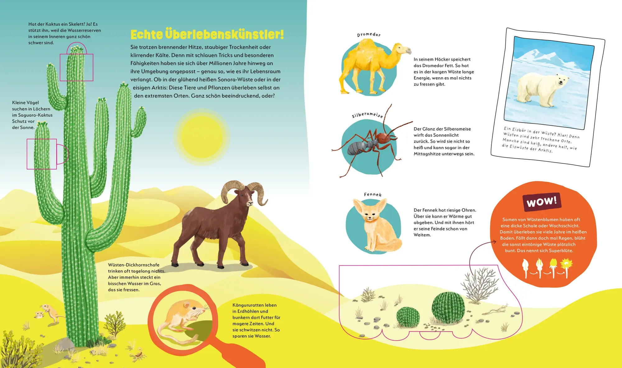 Bild: 9783788680930 | WAS IST WAS Kids Unsere Erde. Ein Planet voller Leben - und du bist...