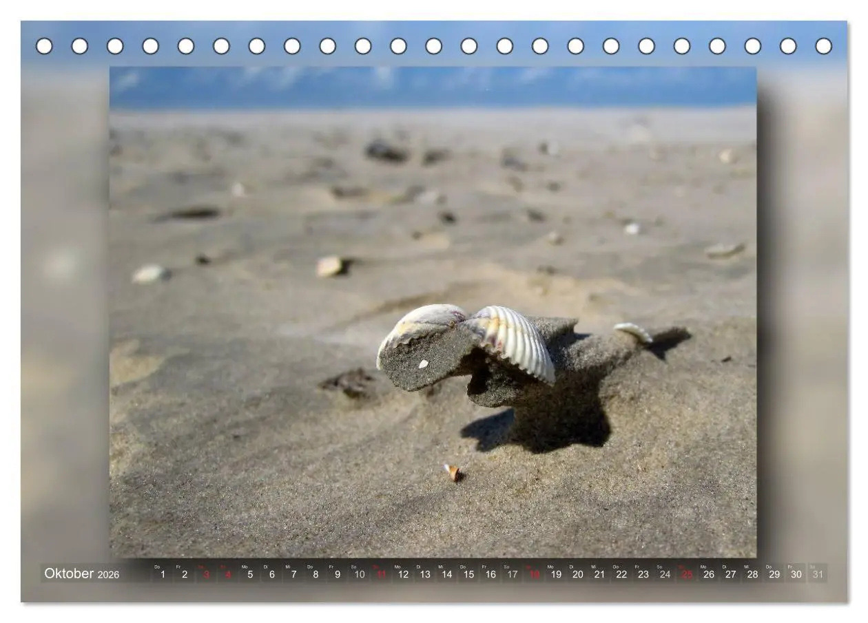 Bild: 9783516211030 | Baltrum - Ein Tag am Strand (Tischkalender 2026 DIN A5 quer),...