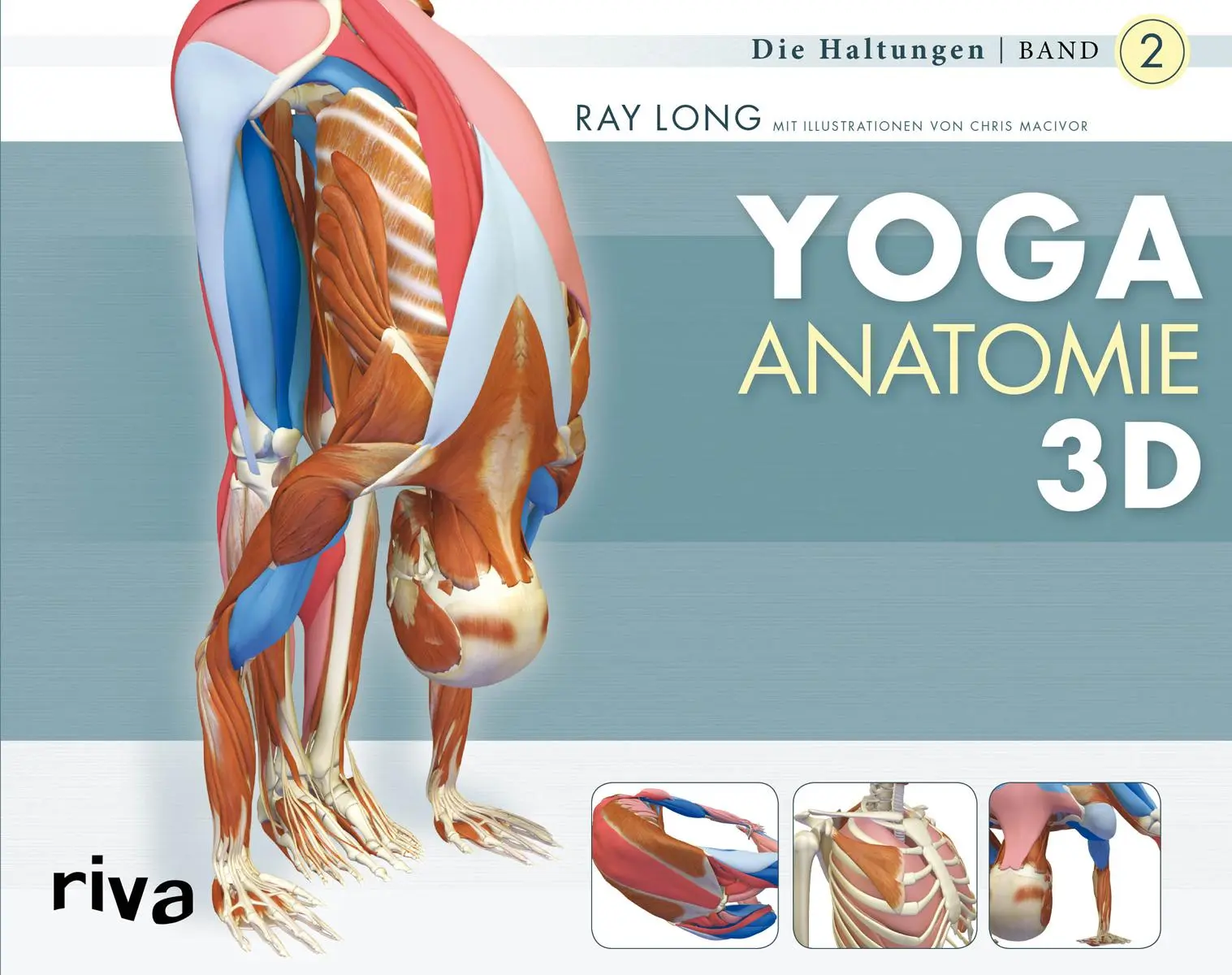 Cover: 9783868831030 | Yoga-Anatomie 3D 02. Die Haltungen | Ray Long | Taschenbuch | 224 S.