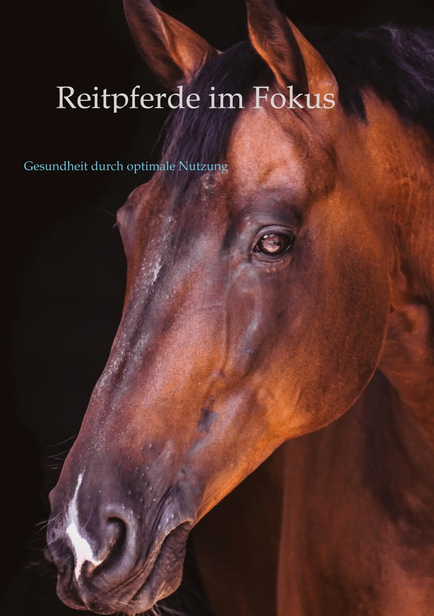 Cover: 9783384541130 | Reitpferde im Fokus | Gesundheit durch optimale Nutzung | Rudolph