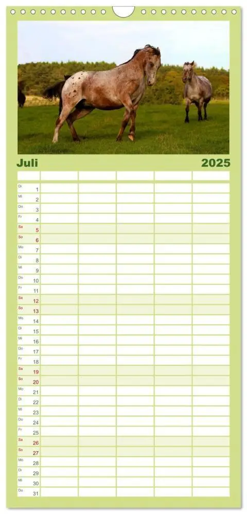 Bild: 9783457111130 | Familienplaner 2025 - Wilde Pferde mit 5 Spalten (Wandkalender, 21...