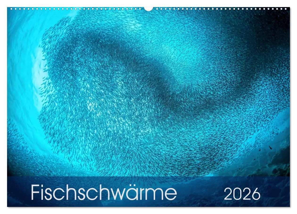 Cover: 9783516061130 | Fischschwärme (Wandkalender 2026 DIN A2 quer), CALVENDO Monatskalender