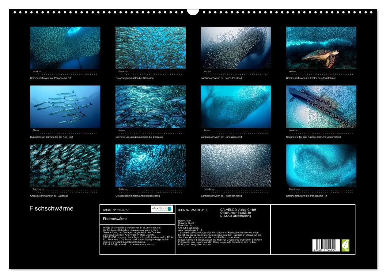Bild: 9783516061130 | Fischschwärme (Wandkalender 2026 DIN A2 quer), CALVENDO Monatskalender