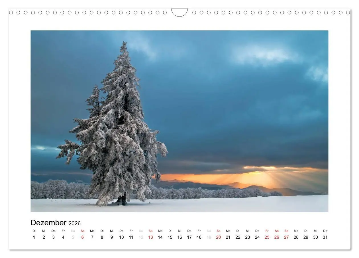 Bild: 9783516201130 | Schwarzwald 2026 (Wandkalender 2026 DIN A3 quer), CALVENDO...