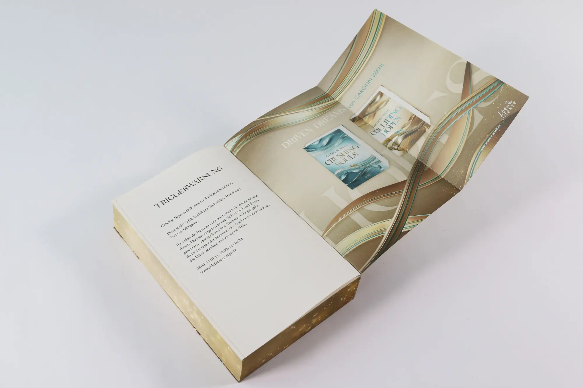 Bild: 9783743221130 | Colliding Hopes (Driven Dreams-Dilogie, Band 2) | Carolin Wahl | Buch