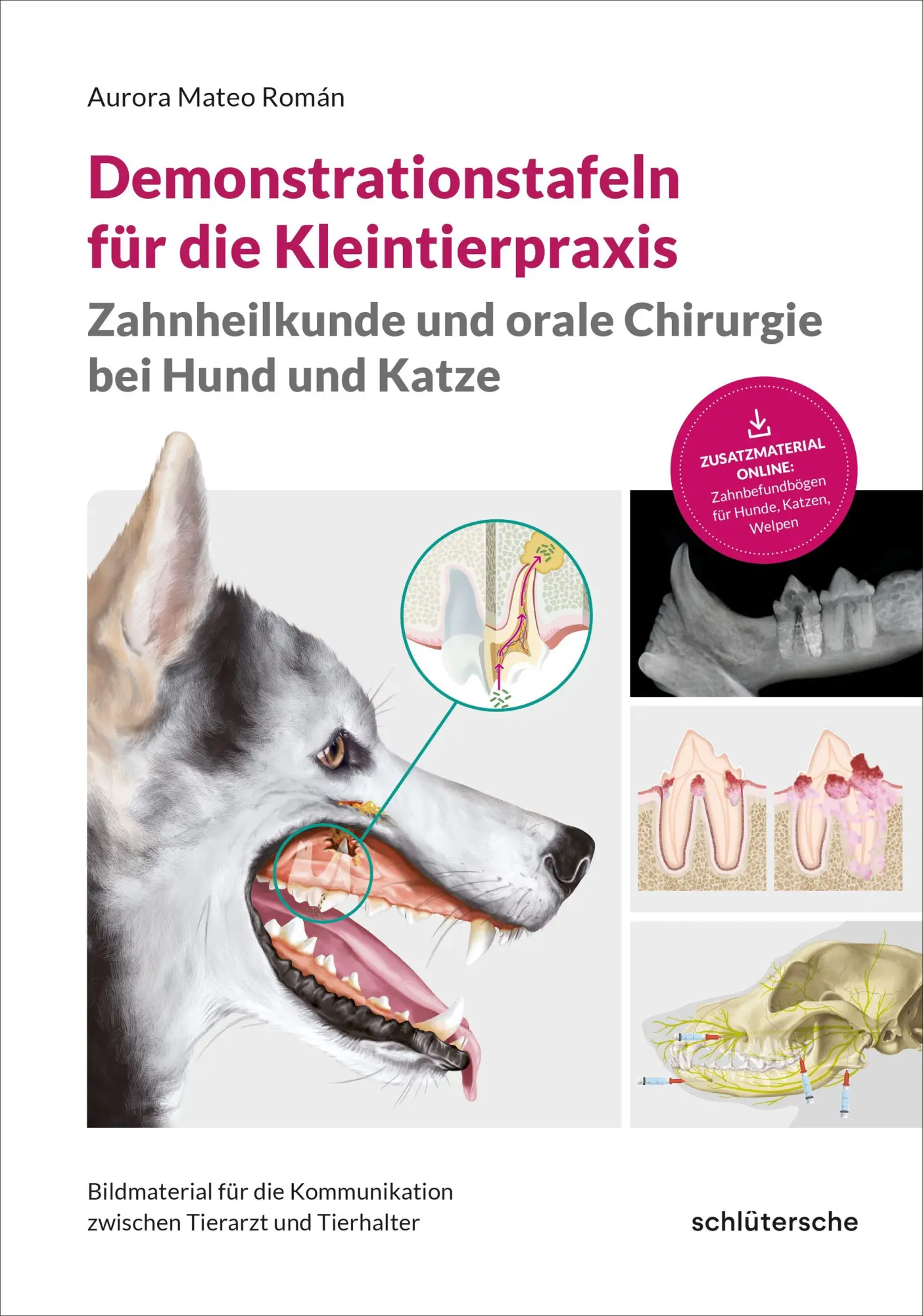Cover: 9783842601130 | Demonstrationstafeln für die Kleintierpraxis, Zahnheilkunde und...