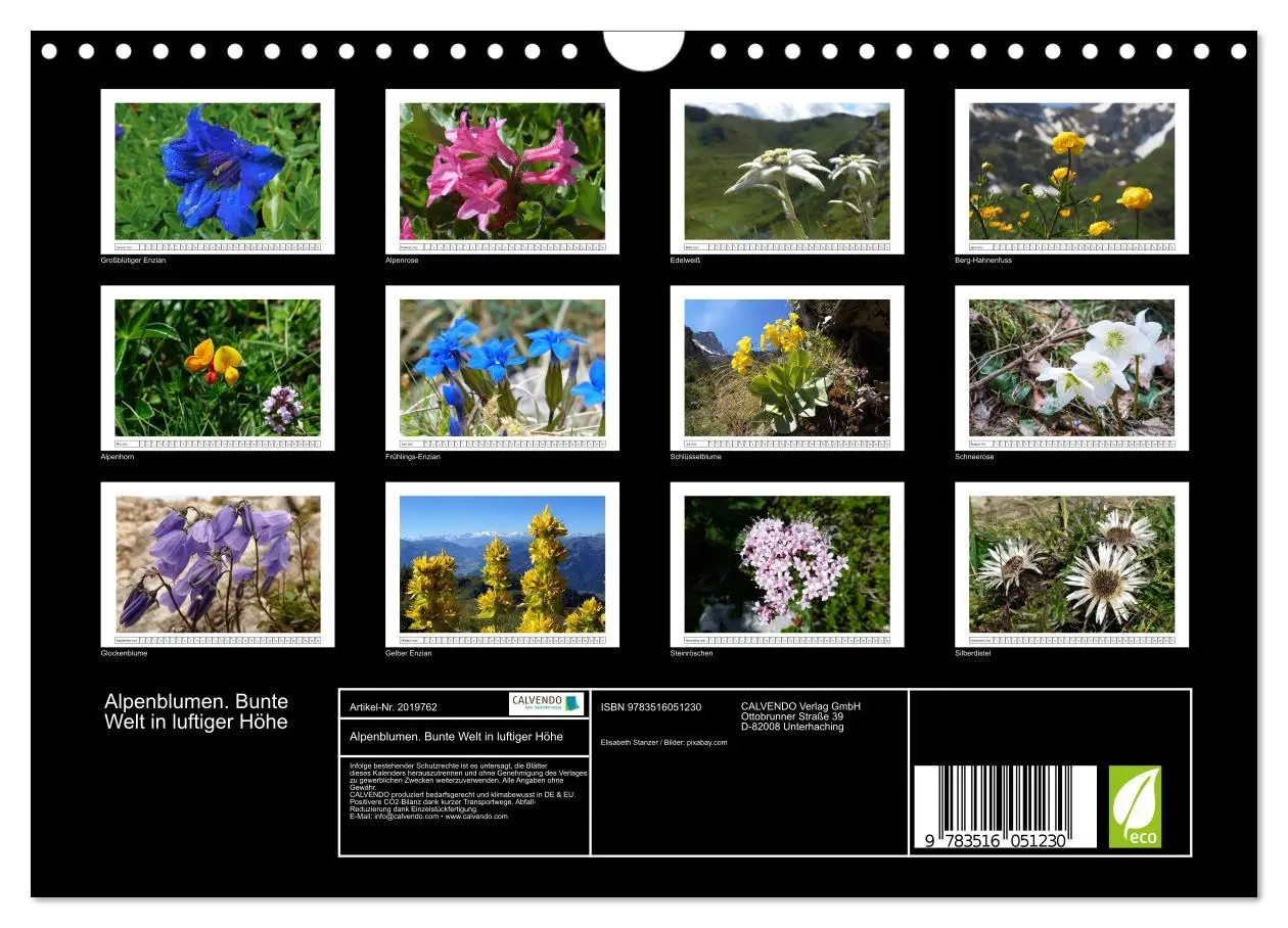 Bild: 9783516051230 | Alpenblumen. Bunte Welt in luftiger Höhe (Wandkalender 2026 DIN A4...