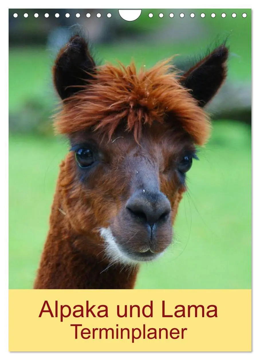Cover: 9783516431230 | Alpaka und Lama Terminplaner (Wandkalender 2026 DIN A4 hoch),...