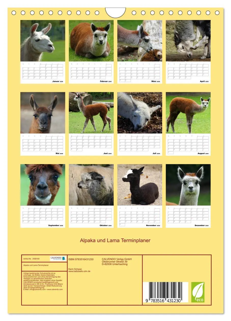 Bild: 9783516431230 | Alpaka und Lama Terminplaner (Wandkalender 2026 DIN A4 hoch),...