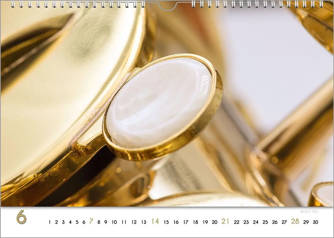 Bild: 9783969031230 | Blech-Instrumente - Musik-Kalender 2026, DIN A3 | Peter Bach Jr.