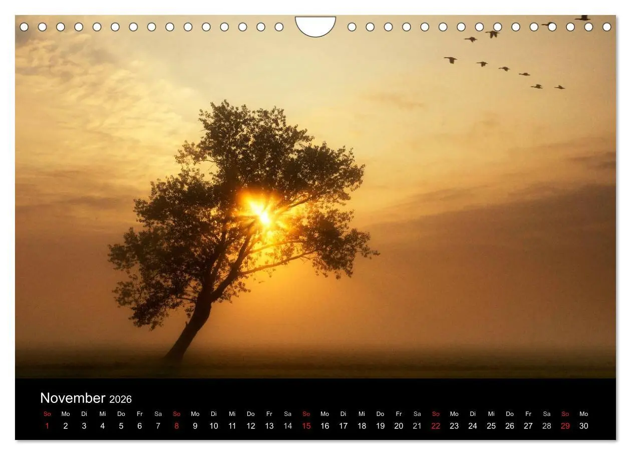 Bild: 9783516041330 | HOLLÄNDISCHE LANDSCHAFTEN: ALBLASSERWAARD 2026 (Wandkalender 2026...