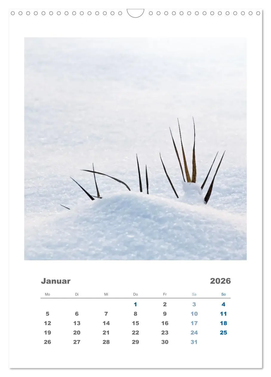 Bild: 9783516351330 | Minimalistisch, Gräser, Blüten, Blätter und Zweige im Fokus...