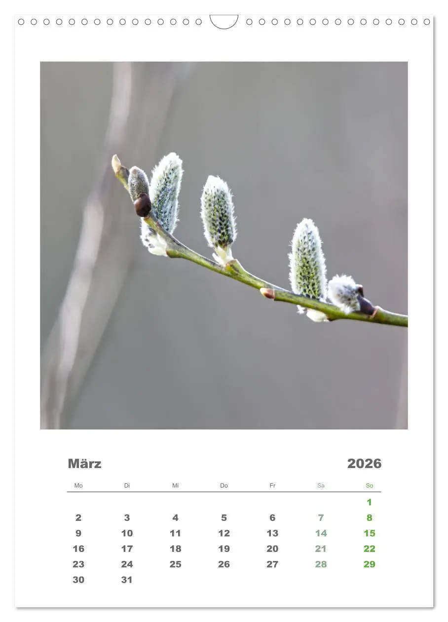 Bild: 9783516351330 | Minimalistisch, Gräser, Blüten, Blätter und Zweige im Fokus...